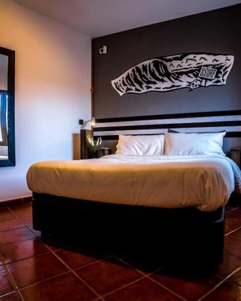 jaws-room-pic1